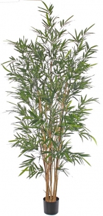Bamboe 195cm, UV bestendig